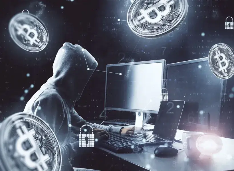 Cofano Lucriaria ambiente di investimento